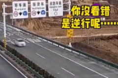 女司机在渭南高速公路疯狂逆行7公里，被查后司机竟说…