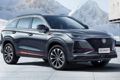 2020年度销量前10国货车仅占3席，卖点高性价比！