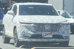 本田2020年销量爆表，今年又要推7款更狠的新车！