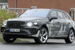 宾利添越长轴距版或4月发布 后排预计更豪华