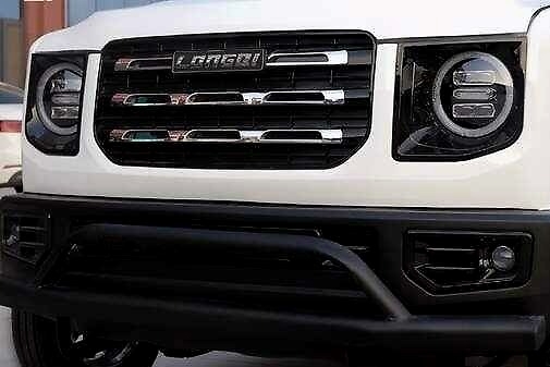 市场出现哈弗大狗“山寨版”价格不过2万元