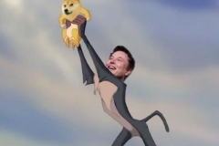 流量造车时代 Ⅱ｜狗狗币“粉头”马斯克