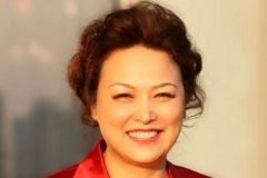 全国人大代表王凤英：新能源汽车是中国汽车全球化发展重要突破口