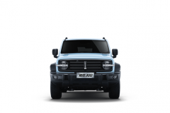 坦克300致敬莫奈限定版官图发布 于3月14日正式上市