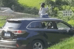 女孩坐车顶游览北京野生动物园？网友炸了：给老虎送餐吗…园方回应