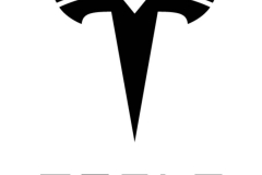 2021，危险的特斯拉