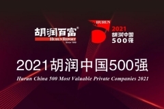 2021胡润中国500强发布，宁德时代位列第五