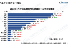 中汽协：1月中国品牌份额增长，吉利长城降速