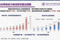 欧阳明高：恐慌是暂时的，2025年电池产能会周期性过剩