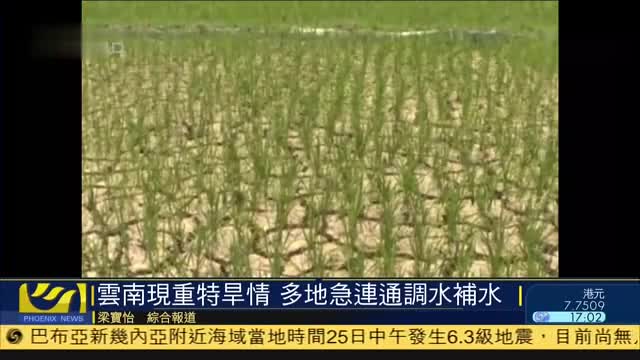 云南省现重特旱情,多地紧急连通调水补水