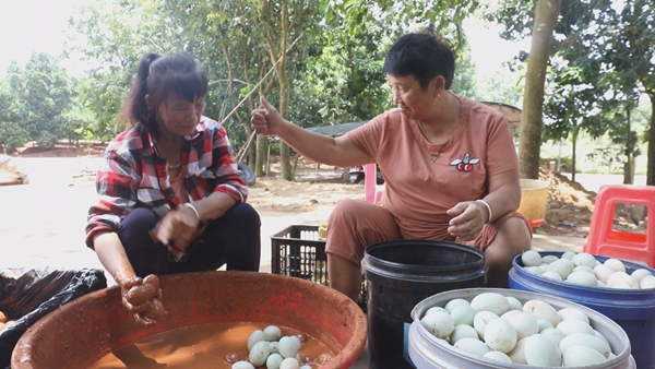 琼海残联: 守初心担使命开启残疾人事业新征程