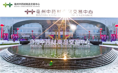 2019年国际（亳州）中医药展(图13)