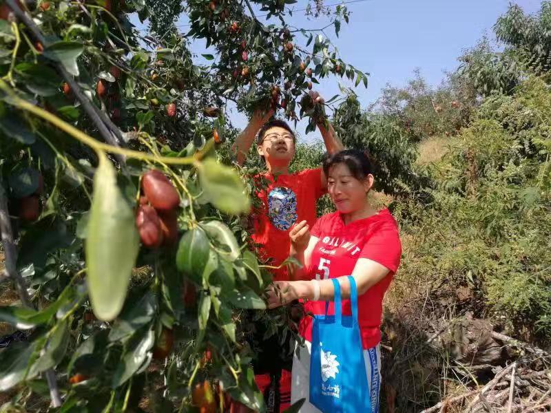 沂源农产品批发：连接农田与市场的桥梁