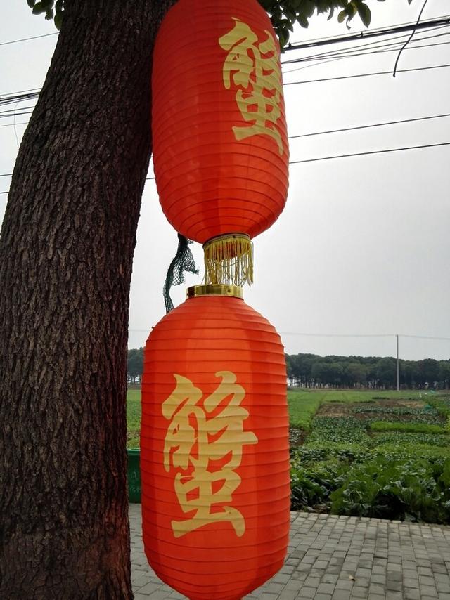 阳澄湖农家乐旅游，阳澄湖农家乐哪家好