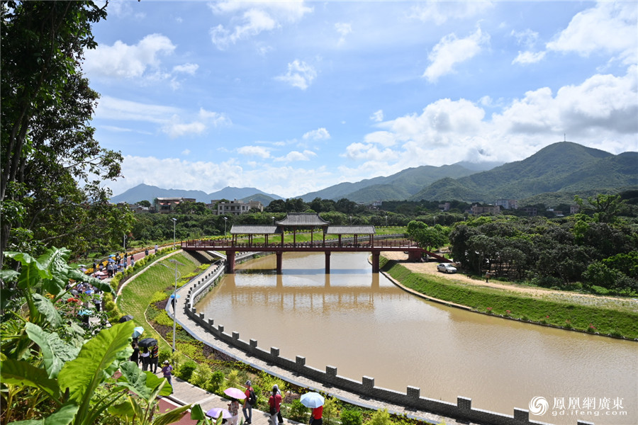 高州根子元坝村.