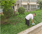 商丘文明建设：文明的佳酿飘香宋城街道