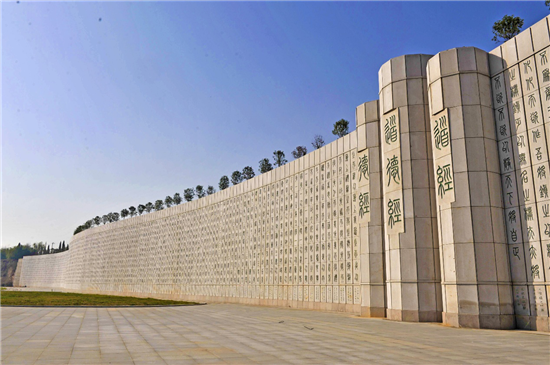 成语青什么圣_什么是青驰菊(3)