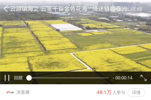 48万+“云”览千亩花海 镇海这场春日直播讲述网红村的感人故事……