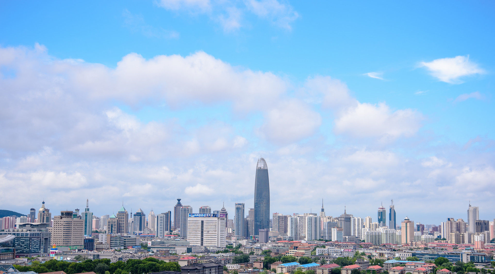 进出口总额占全市半壁江山,济南高新区对外贸易崛起成峰