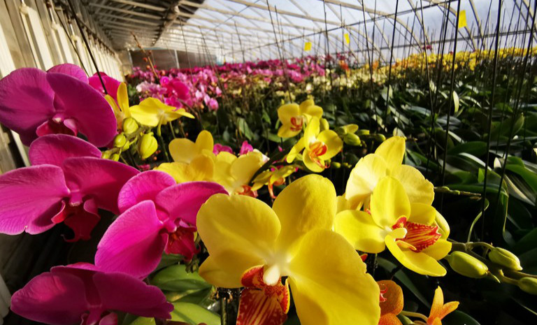 【组图】千里沃野北大荒 人勤春早不误时