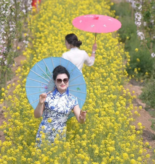 来一场自驾游吧!赏花,遛娃,烧烤,游乐尽在荥阳新沟花海