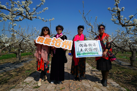 @京津冀抖音達人團拉開滄州觀花潮序幕