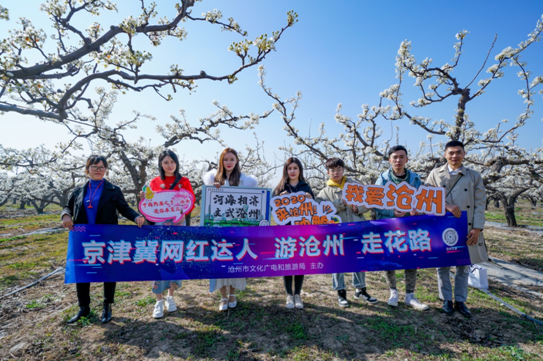 @京津冀抖音達人團拉開滄州觀花潮序幕