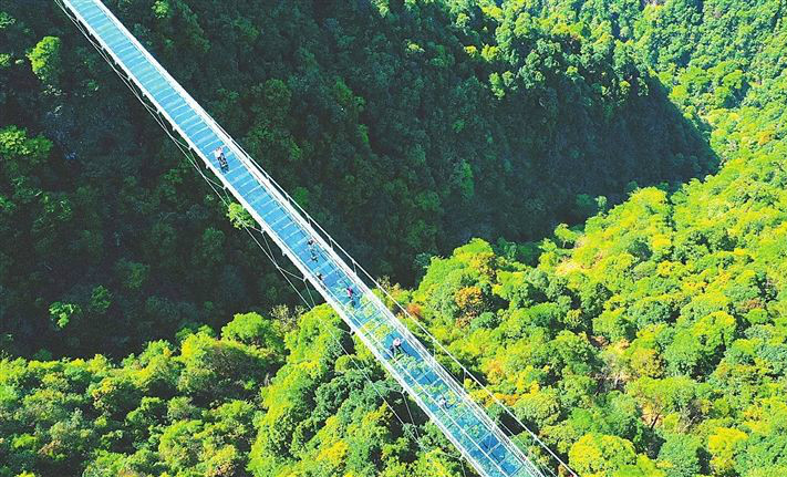 安远县三百山景区的“天空之桥”（图）