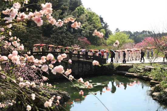 #景区#消费券花起来！桃花源给常德市全体职工送福利