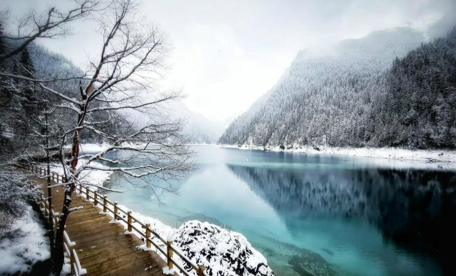 九寨沟连续三天下雪 宛若童话世界
” width=