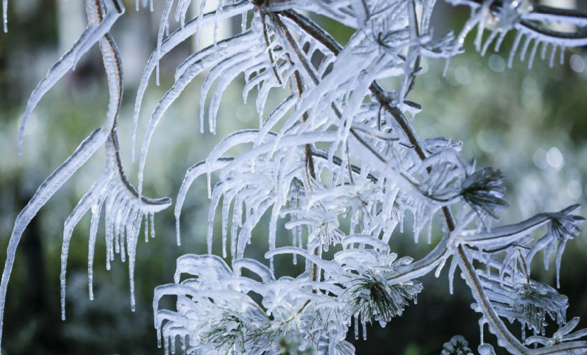 民勤：晶莹剔透的冰凌 宛如童话世界” width=