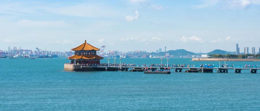 海水浴场的防鲨网,过去真是用来放鲨的.