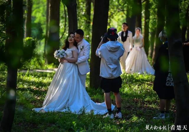 苏州拍婚纱照风景_苏州风景图片(2)