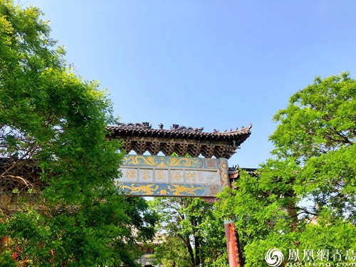 云舒风碧健康出游 青岛媒体采风走进城阳