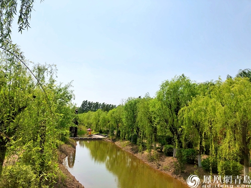 云舒风碧健康出游 青岛媒体采风走进城阳