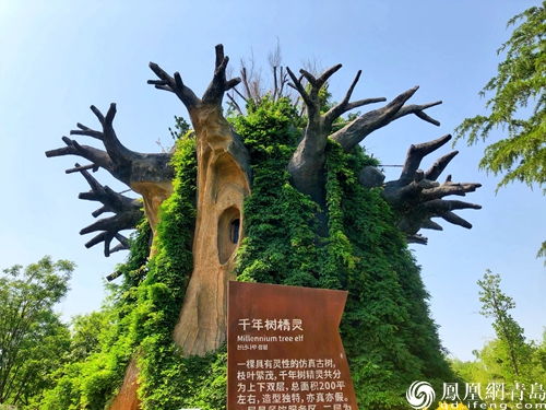 云舒风碧健康出游 青岛媒体采风走进城阳