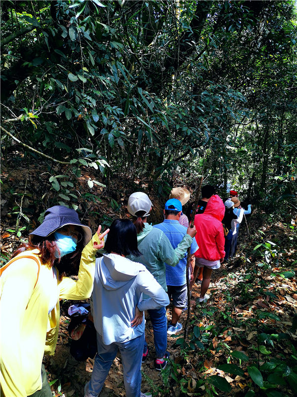 聚焦中国旅游日——五指山迎来最美逆行者