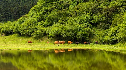 丰都南天湖风光