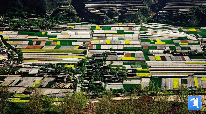 大地织锦定西市临洮县龙门镇三十铺村田园风光 (定西市纪委监委选送 肖长禄 摄)