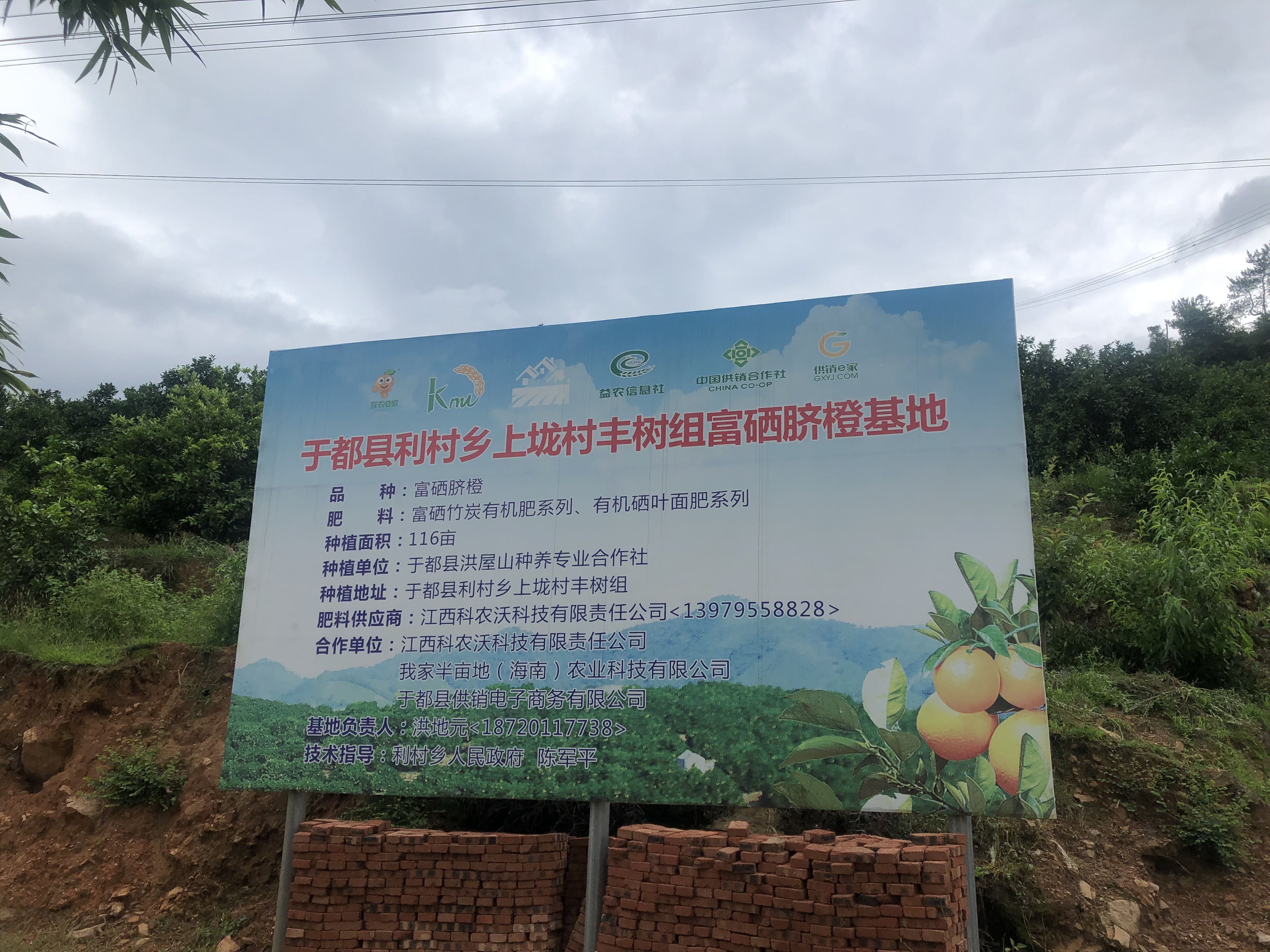 于都县经济总量_于都县地图(2)