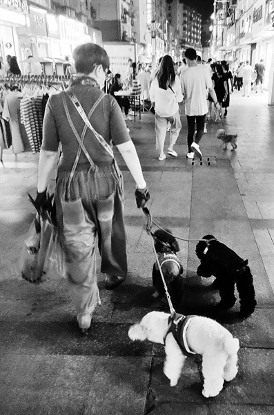 煞风景 九江步行街狗满为患市民呼吁禁止带犬进场 江西频道 凤凰网