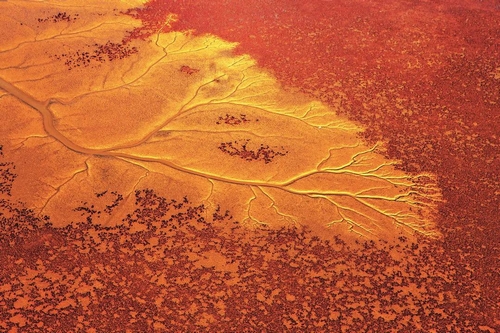 黄河淤积地地貌