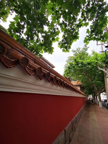 凤凰网青岛专栏 | 晓瑀：市井巷陌的青岛