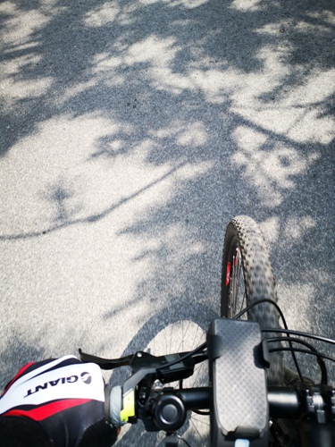 凤凰网青岛专栏 | 晓瑀：市井巷陌的青岛