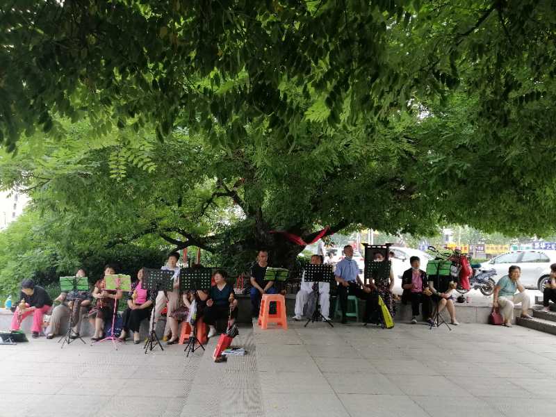 市民在崇圣公园排练文艺节目