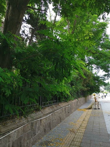 凤凰网青岛专栏 | 晓瑀：市井巷陌的青岛