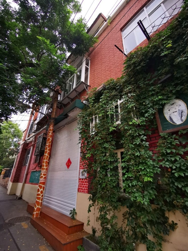 凤凰网青岛专栏 | 晓瑀：市井巷陌的青岛