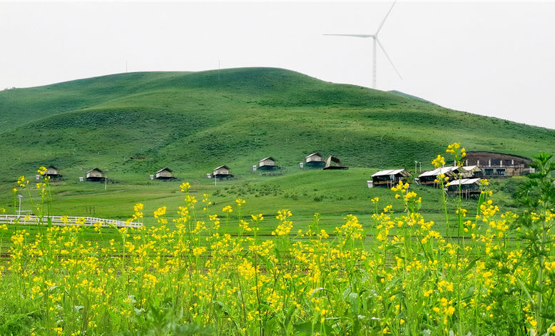 河北丰宁:草原生态保护有成效
