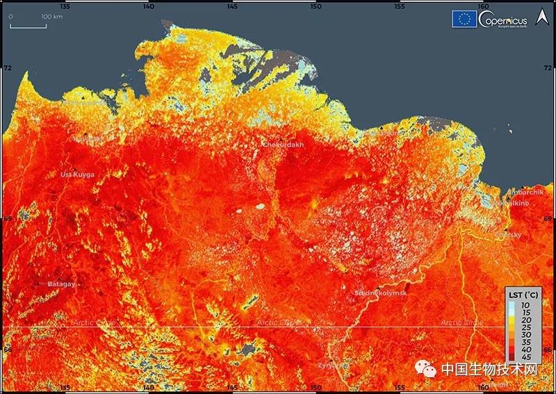 《Nature》本月最佳科学图片，北京的气膜核酸检测实验室在列！