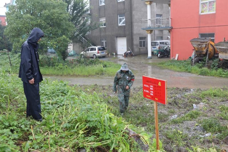 湖阳镇人口_唐河湖阳镇图片